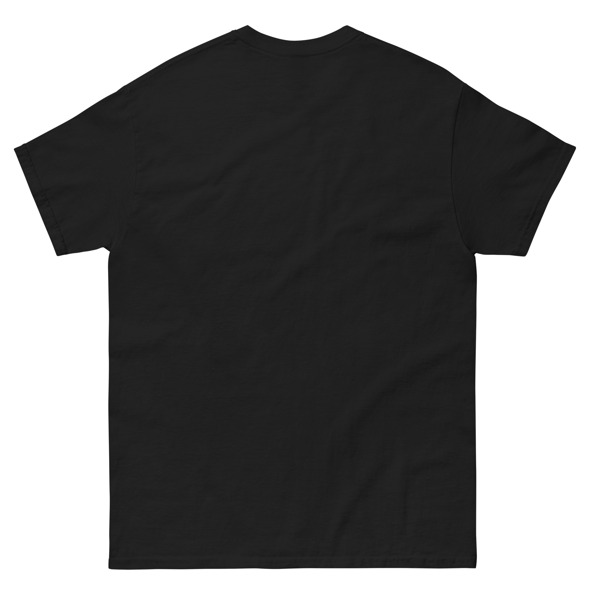 Space Is Fake T-shirt